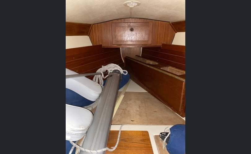 Comfortina 32-kuva-7